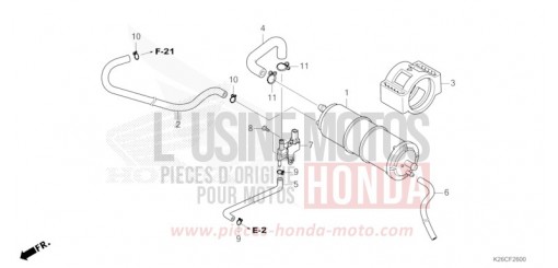 CUVETTE MSX125AR de 2024